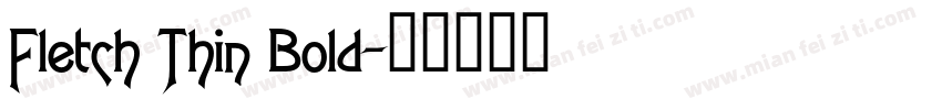 Fletch Thin Bold字体转换